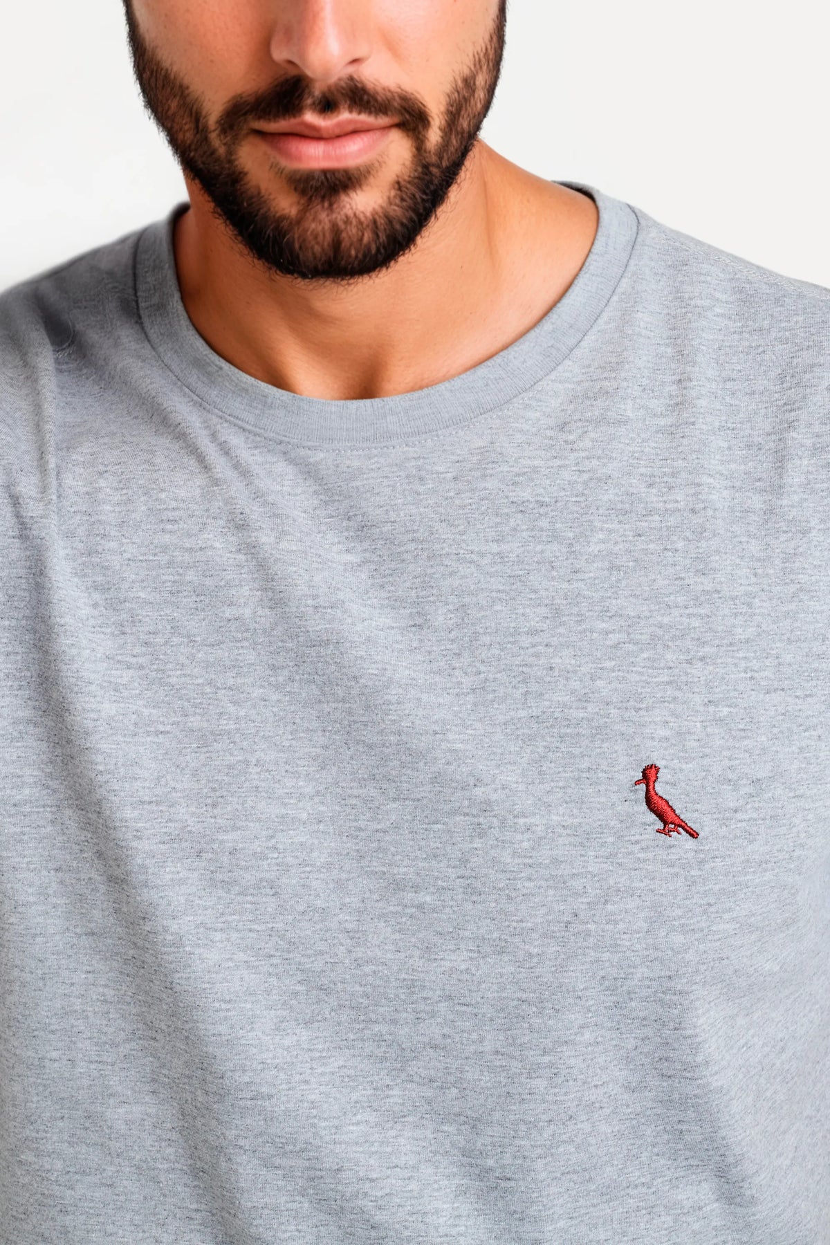 camiseta básica brasa pica-pau bordado - Cinza