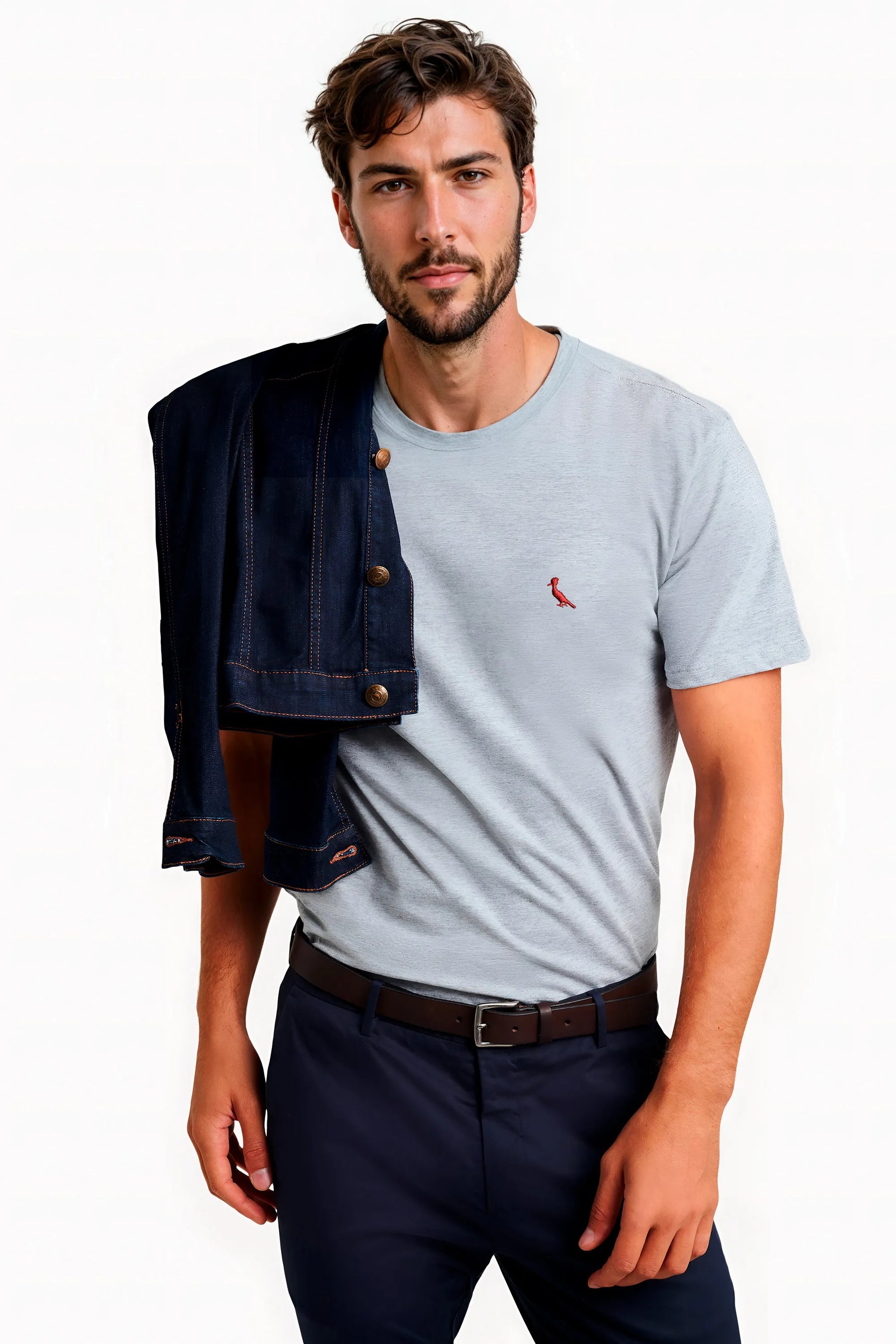 camiseta básica brasa pica-pau bordado - Cinza