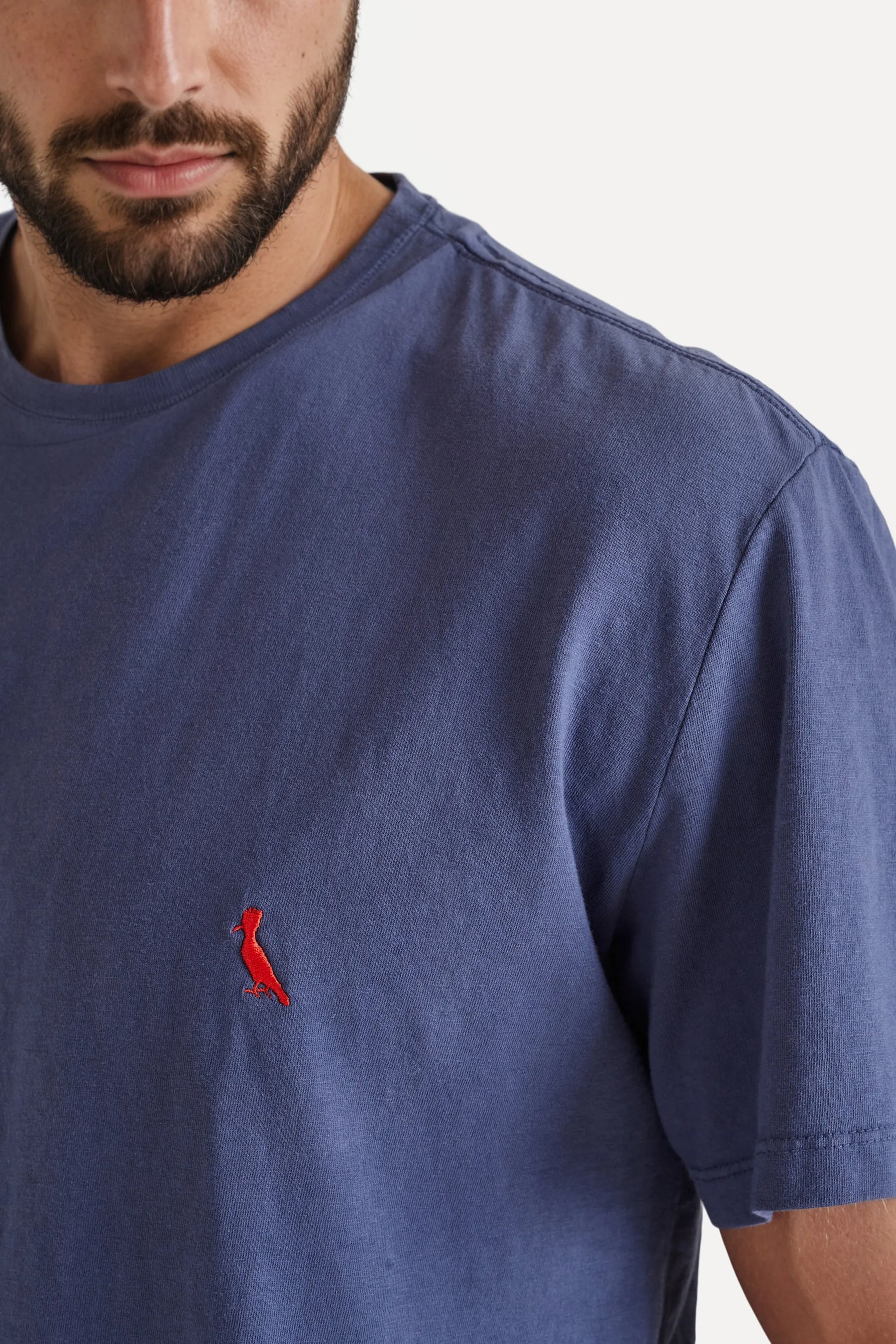 camiseta básica brasa pica-pau bordado - Marinho