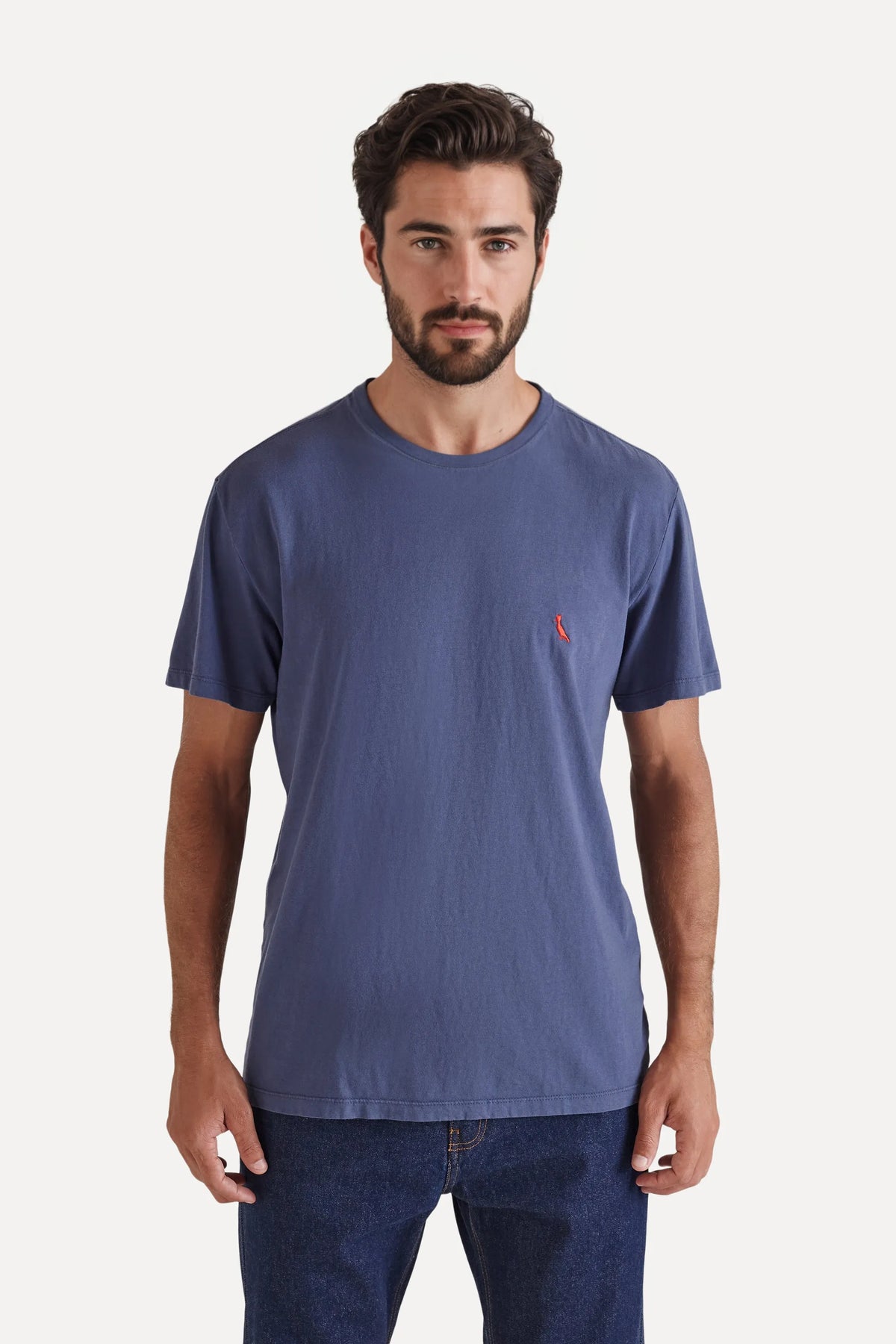 camiseta básica brasa pica-pau bordado - Marinho