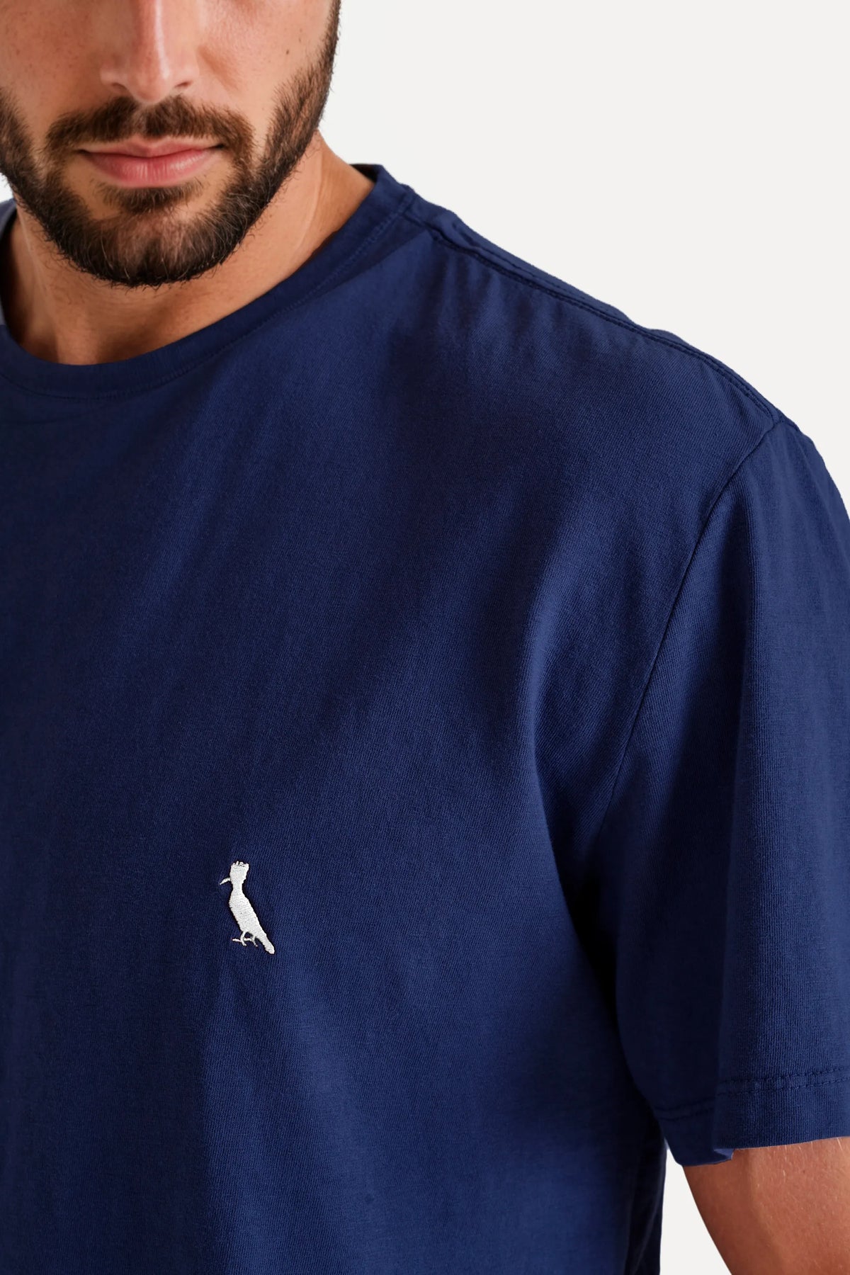 camiseta básica suspiro pica-pau bordado - Azul