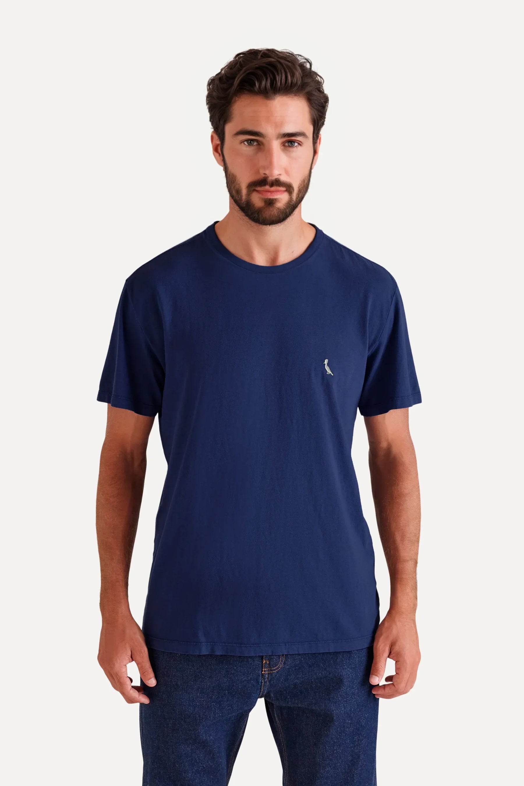 camiseta básica suspiro pica-pau bordado - Azul